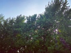-石家庄市植物园