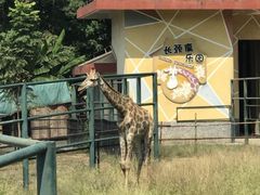 -无锡动物园·太湖欢乐园