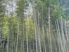 -黄公望隐居地