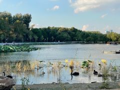 -长春市南湖公园