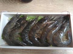 -野妹火锅(龙岗店)