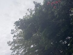 -深圳湾公园(南山区)