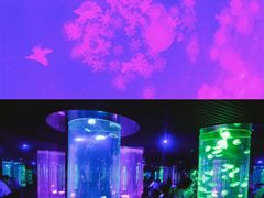 -南昌海洋公园