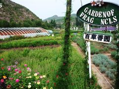 -紫海香堤香草艺术庄园