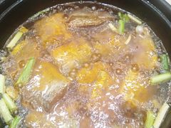 -苏启渔港(云南北路店)