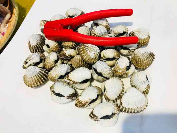 温州海鲜黄牛馆-"「葱油海瓜子」好吃,尤其是汤汁,没有沙石.