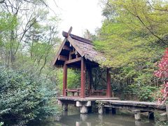 -杭州半山国家森林公园