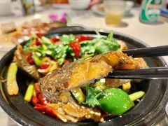 -强记海鲜·大排档(蛇口新街店)