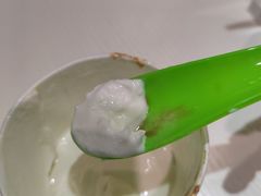 -Salud撒露欧洲冻酸奶(798艺术区店)