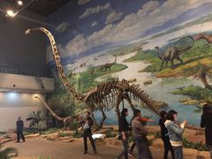 -自贡恐龙博物馆