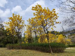 -中国移动南方基地