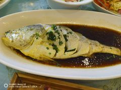 深海大黄鱼-江南村酒家