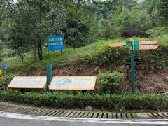-田心森林公园