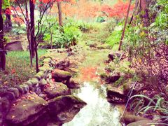 -青城道汤池
