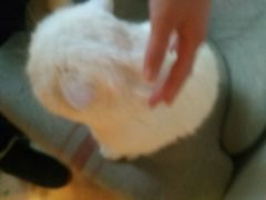 -唛客疯量贩式KTV(金飞达广场店)