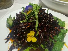 -蜀厨小匠·民间川菜(犀浦店)