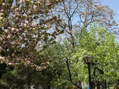 -南开大学(八里台校区)