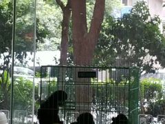 -宠颐生汉谟拉比宠物医院