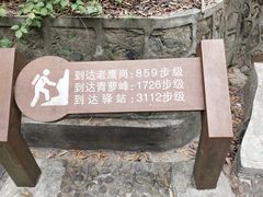 -滴水岩森林公园