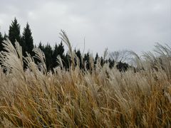 -汉长安城未央宫国家考古遗址公园