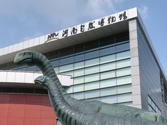 -河南自然博物馆