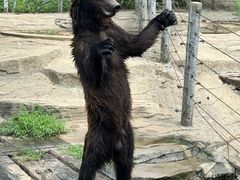 -常州淹城野生动物世界