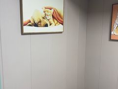 -半岛宠物医院24小时·内窥镜·牙科·碎石中心(府城大道店)