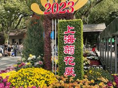 -上海共青森林公园