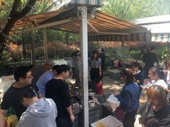 -吴淞炮台湾湿地森林公园烧烤区