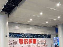 -鄂尔多斯伊金霍洛国际机场