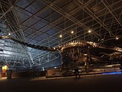 -世界恐龙谷景区