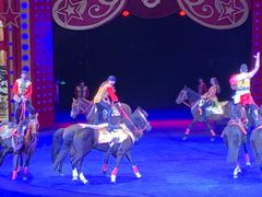 -珠海横琴长隆《卡卡虎奇遇记》