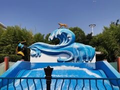-上海玛雅海滩水公园
