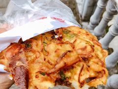 萝卜饺子-半月镰胡姐脆皮萝卜饺子