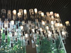 大堂-星巴克臻选(湖滨道店)