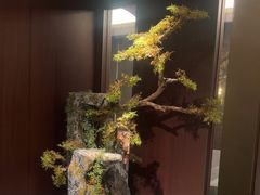 -龙宴海鲜城(经中路店)