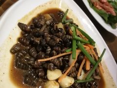 温州眼丝螺-浙C老邻舍(西城海错店)
