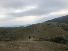 -大姆山草场