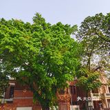 总面积超过一千平方米，在广州来说是绝无仅有的