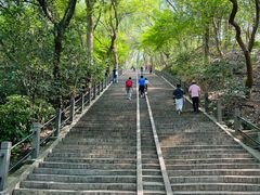 -上海佘山国家森林公园天马山园