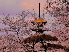 -东湖磨山景区