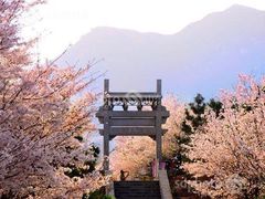 -樱花山风景区