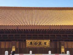 -深圳仙湖植物园