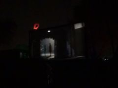 -枫花园汽车电影院(朝阳公园店)