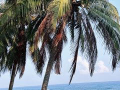 -日月湾海门游览区