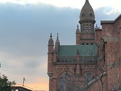 -上海佘山国家森林公园西佘山园