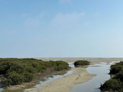 -北海金海湾红树林生态旅游区