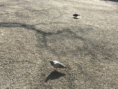 -热田神宫