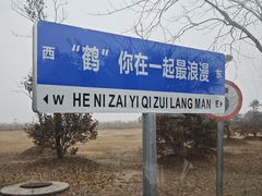 -盐城丹顶鹤湿地生态旅游区