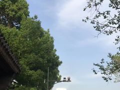 -秋栗香(地安门店)